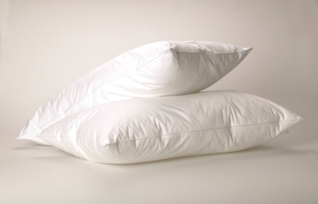 click here to view products in the Pillows - Standard category